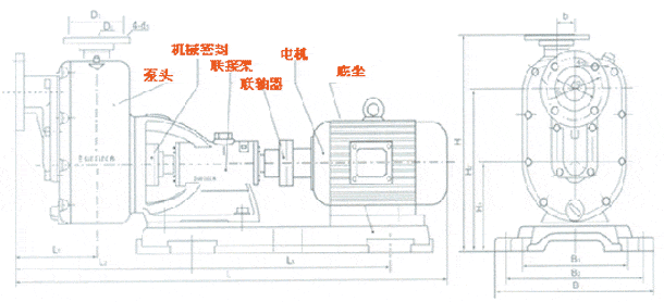 zs-1.gif